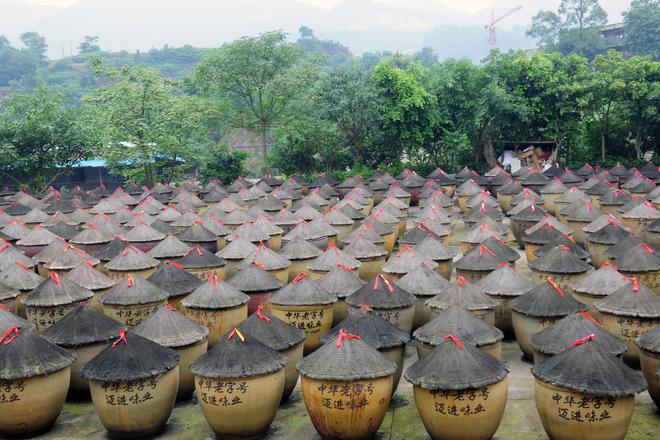 匠心酿岁月 薪火相传谱新篇pg模拟器江津酿造：百年(图1)