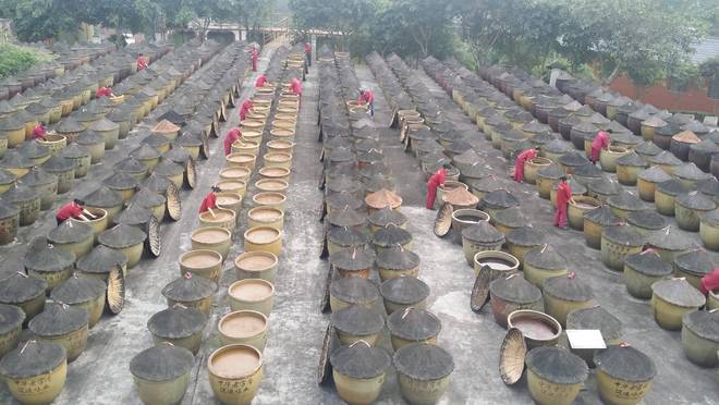 匠心酿岁月 薪火相传谱新篇pg模拟器江津酿造：百年(图4)