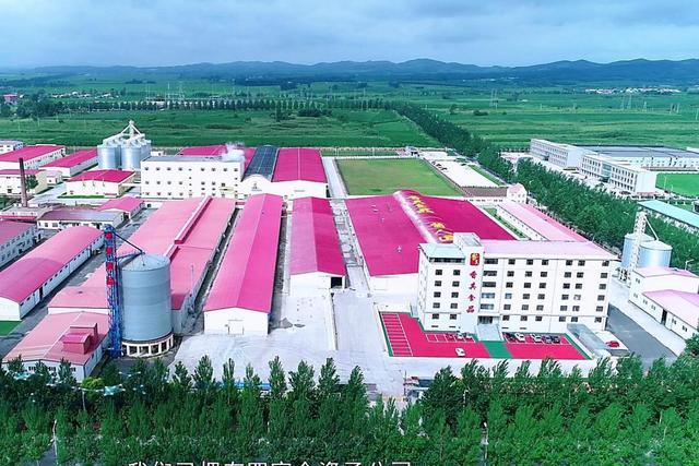 香其食品演绎“酱人匠心”pg电子平台笃行30载：(图3)