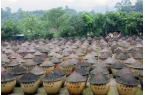 匠心酿岁月 薪火相传谱新篇pg模拟器江津